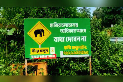 recurring wild jumbo incursions in villages cripple life in krishnapur