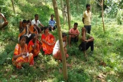 two found hanging from same tree in tripuras kalyanpur