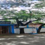 national flag hung upside down at tripura panchayat sparks outrage
