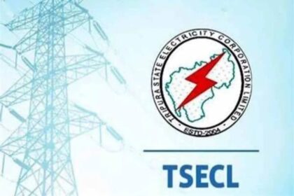 two tsecl engineers suspended over negligence in power billing and services