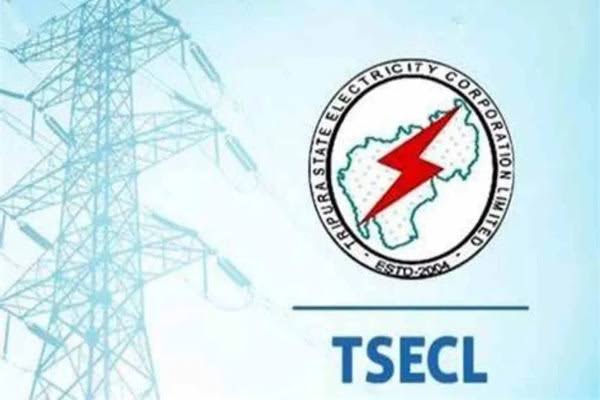 two tsecl engineers suspended over negligence in power billing and services