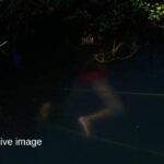 AI IMAGE 20260927 210208 0000