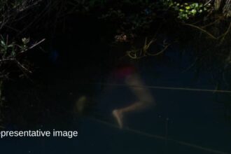 AI IMAGE 20260927 210208 0000