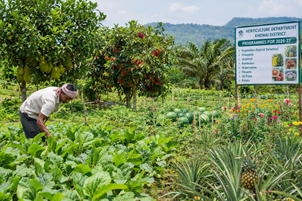 horticulture department rolls out new programmes for 2026 27 in khowai