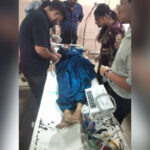 married woman stabbed to death