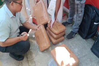 tripura police seize 18 kg cannabis arrest two youths during patrol in college tilla area