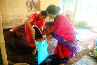 from dreamer to lakhpati didi junu bala roys vermicompost enterprise becomes a model of rural entrepreneurship